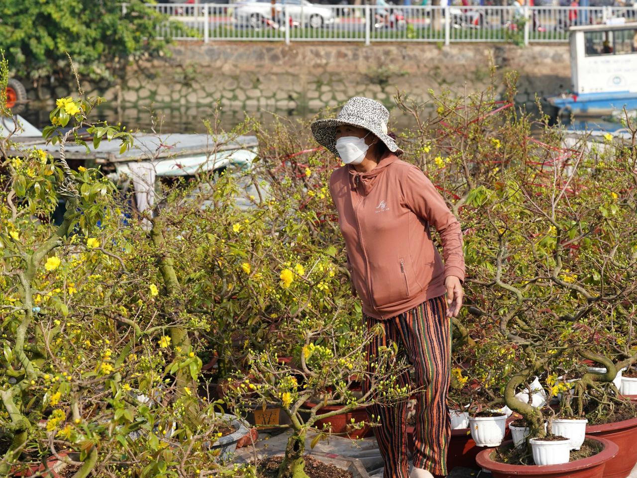 Người miền Tây chở mai lên, người Sài Gòn dạo chợ hoa Xuân Bến Bình Đông - ảnh 3