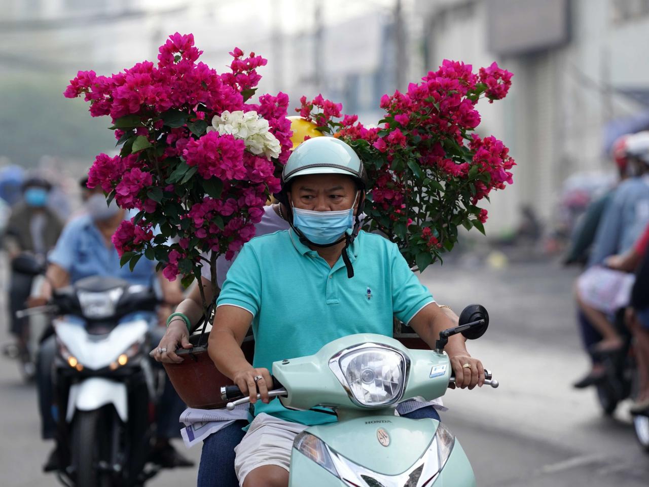 Người miền Tây chở mai lên, người Sài Gòn dạo chợ hoa Xuân Bến Bình Đông - ảnh 13