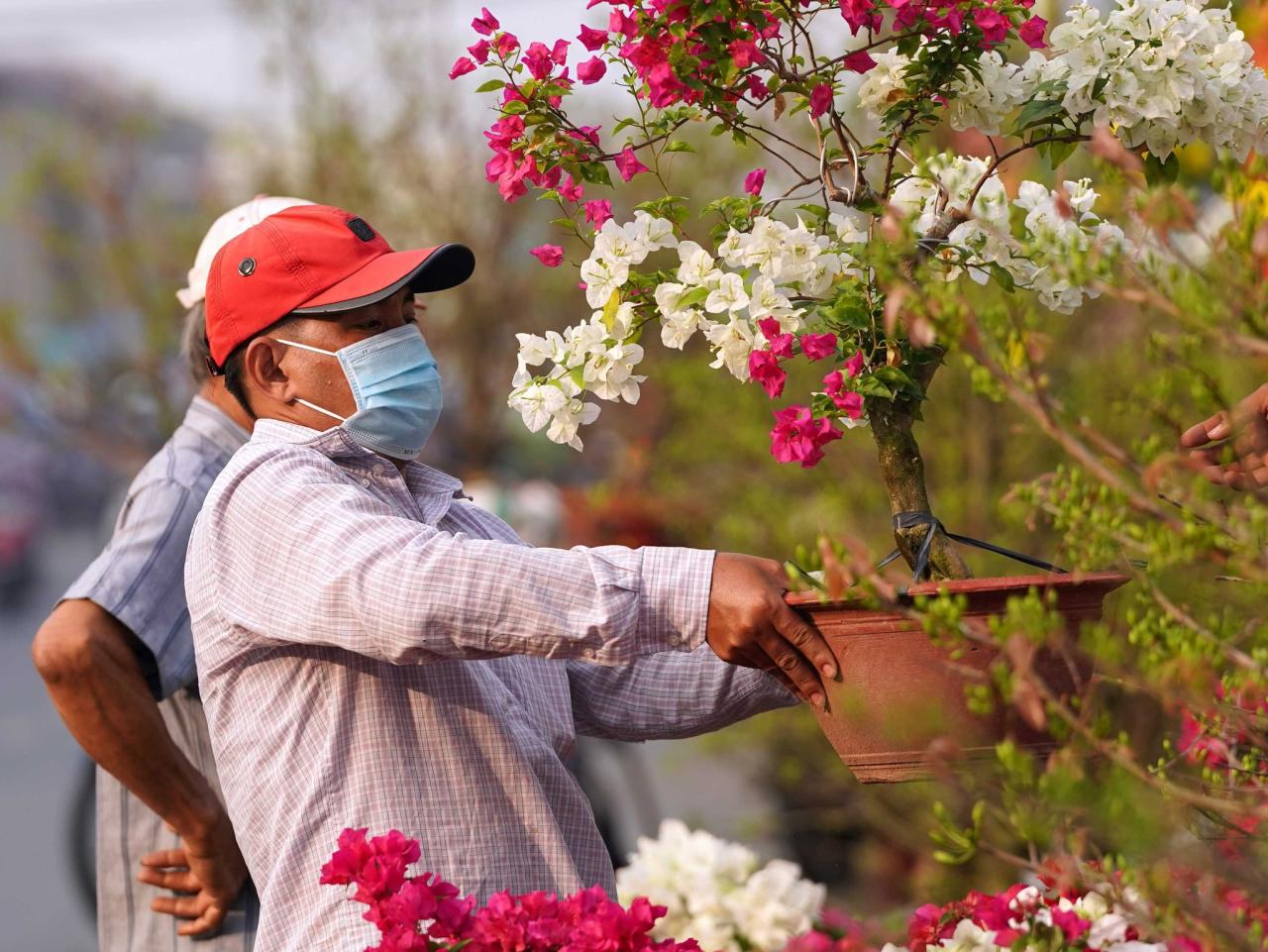 Người miền Tây chở mai lên, người Sài Gòn dạo chợ hoa Xuân Bến Bình Đông - ảnh 7