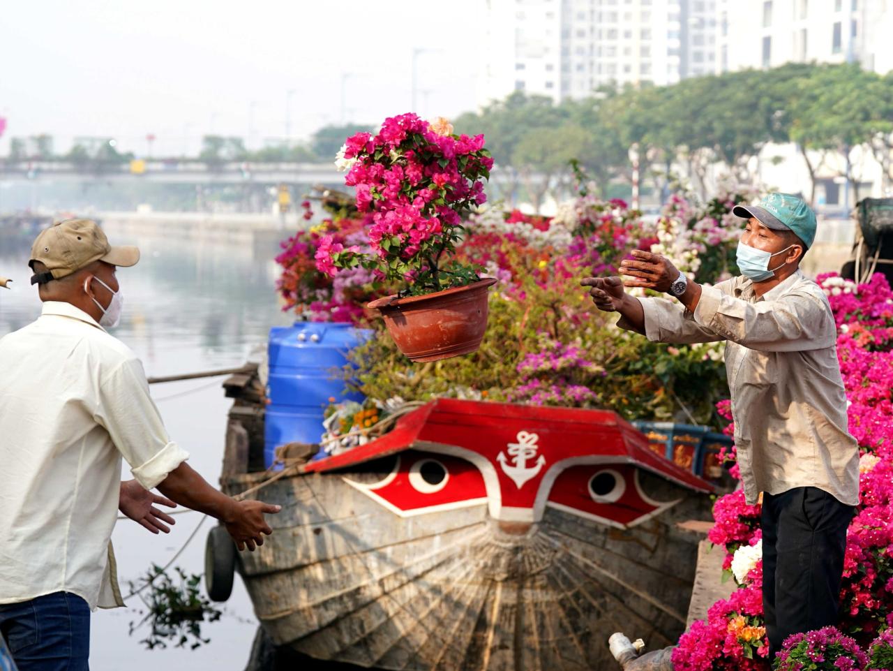 Người miền Tây chở mai lên, người Sài Gòn dạo chợ hoa Xuân Bến Bình Đông - ảnh 2